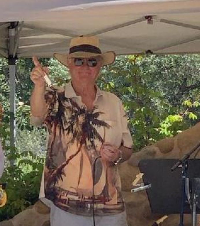 The Soul Cats Live Performance